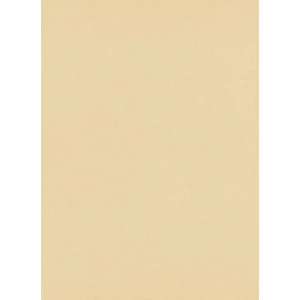 Bézs egyszínű tapéta