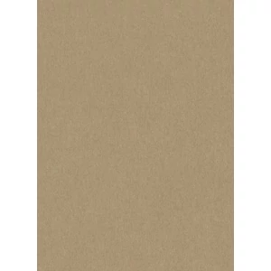 Világosbarna egyszínű tapéta