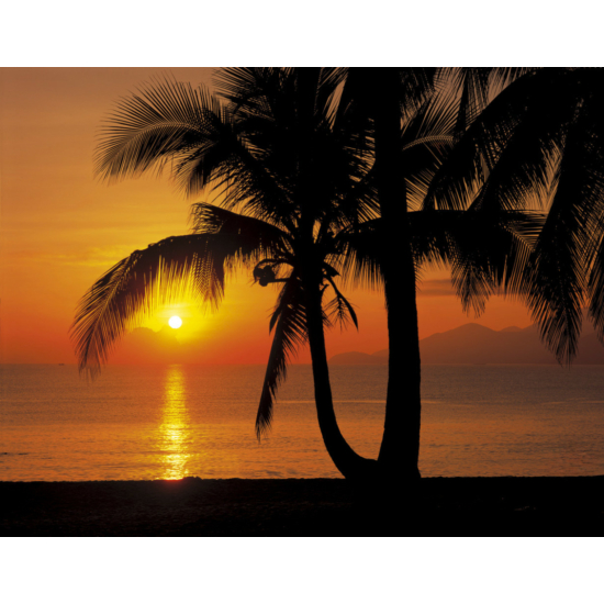 Palmy Beach Sunrise fotótapéta