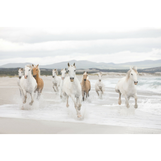 White Horses fotótapéta